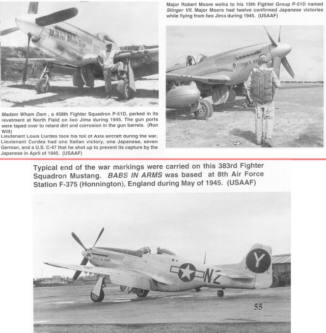 [Squadron-Signal][6070] - P-51 Mustang-55.jpg